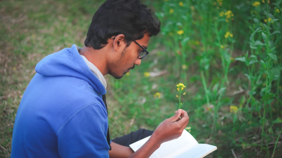 Unlock Your Dream College: Why the Best SAT Tutoring Matters