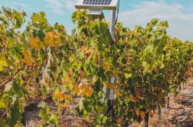 Solar Panel on a Post at a Plantation