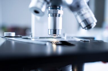 The Role of Lipid-Based Formulations in Targeted Drug Delivery