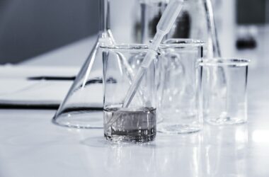 Key Features to Look For in a Cell Line Development Platform